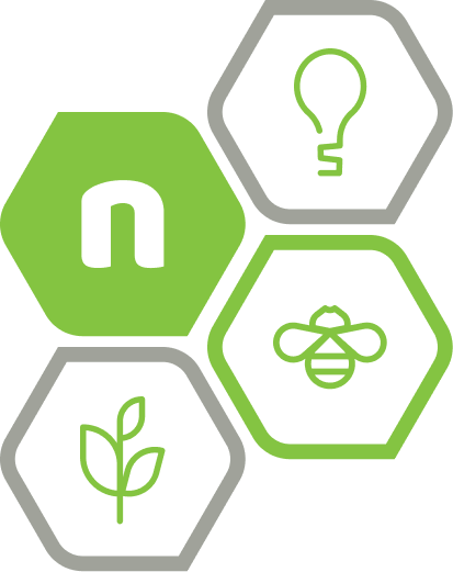 Noocleus hex compilation — n, bulb, bee, plant